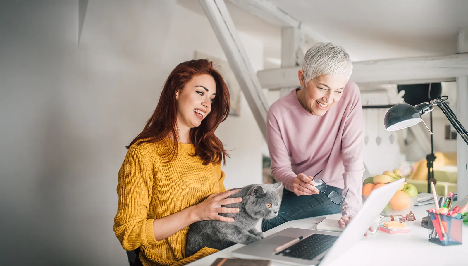 Two women smile while working on a laptop at home. A grey cat sits on one woman's lap.